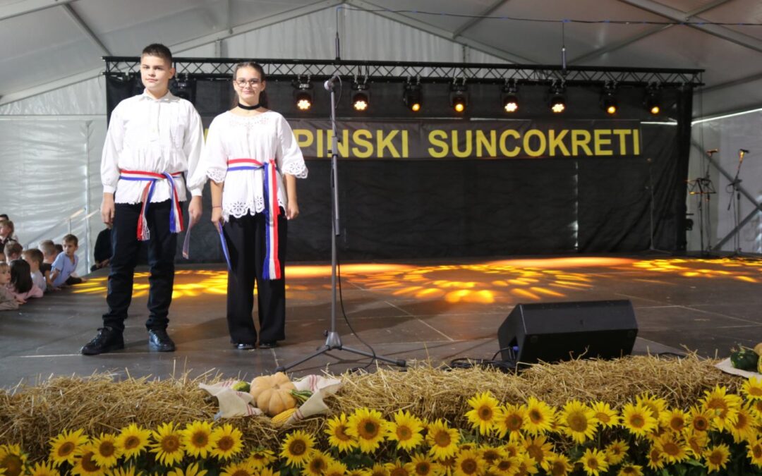 25. Čepinski suncokreti