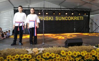 25. Čepinski suncokreti